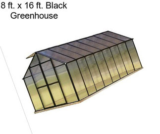 8 ft. x 16 ft. Black Greenhouse