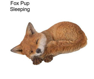 Fox Pup Sleeping