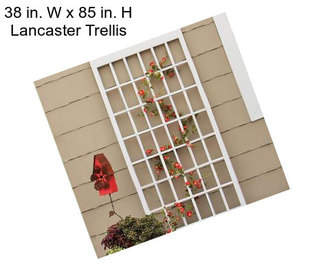 38 in. W x 85 in. H Lancaster Trellis