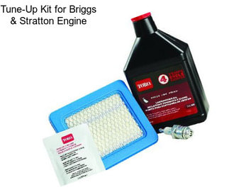 Tune-Up Kit for Briggs & Stratton Engine