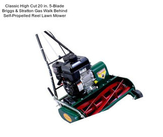 Classic High Cut 20 in. 5-Blade Briggs & Stratton Gas Walk Behind Self-Propelled Reel Lawn Mower