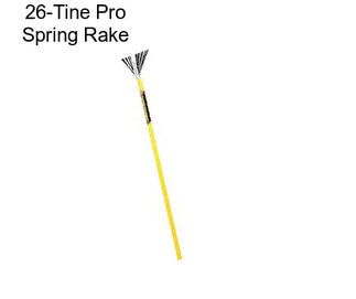 26-Tine Pro Spring Rake