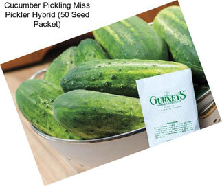 Cucumber Pickling Miss Pickler Hybrid (50 Seed Packet)