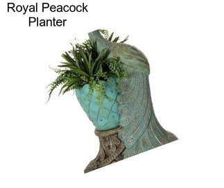 Royal Peacock Planter