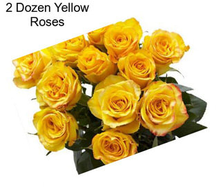 2 Dozen Yellow Roses
