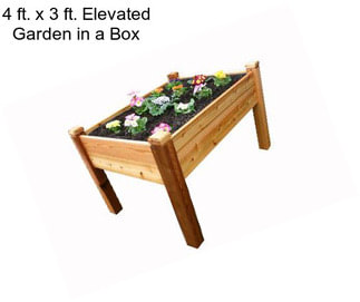 4 ft. x 3 ft. Elevated Garden in a Box