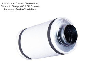 6 in. x 12 in. Carbon Charcoal Air Filter with Flange 400 CFM Exhaust for Indoor Garden Ventialtion