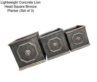 Lightweight Concrete Lion Head Square Bronze Planter (Set of 3)