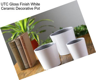 UTC Gloss Finish White Ceramic Decorative Pot