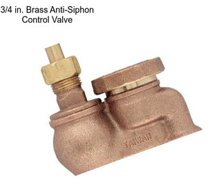 3/4 in. Brass Anti-Siphon Control Valve