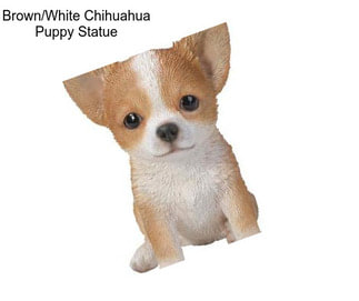 Brown/White Chihuahua Puppy Statue