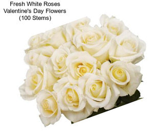 Fresh White Roses Valentine\'s Day Flowers (100 Stems)