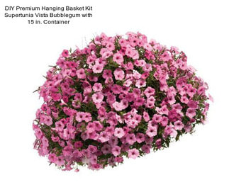 DIY Premium Hanging Basket Kit Supertunia Vista Bubblegum with 15 in. Container