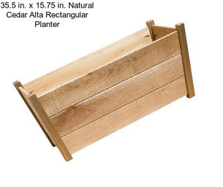 35.5 in. x 15.75 in. Natural Cedar Alta Rectangular Planter