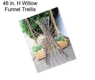 48 in. H Willow Funnel Trellis