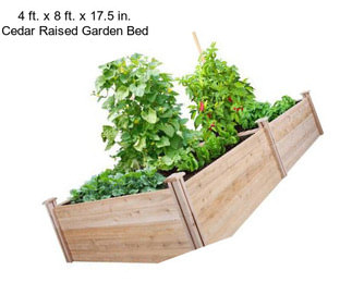 4 ft. x 8 ft. x 17.5 in. Cedar Raised Garden Bed