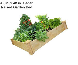 48 in. x 48 in. Cedar Raised Garden Bed