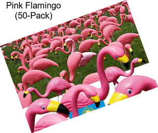 Pink Flamingo (50-Pack)