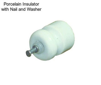 Porcelain Insulator with Nail and Washer