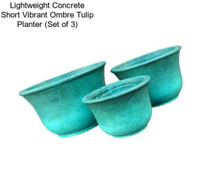 Lightweight Concrete Short Vibrant Ombre Tulip Planter (Set of 3)