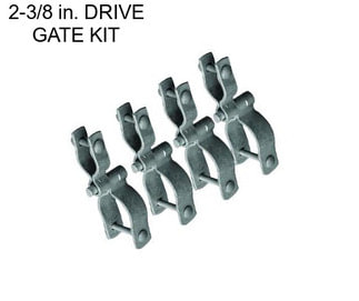 2-3/8 in. DRIVE GATE KIT