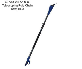 40-Volt 2.5 Ah 8 in. Telescoping Pole Chain Saw, Blue