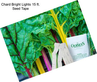 Chard Bright Lights 15 ft. Seed Tape