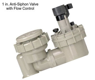 1 in. Anti-Siphon Valve with Flow Control