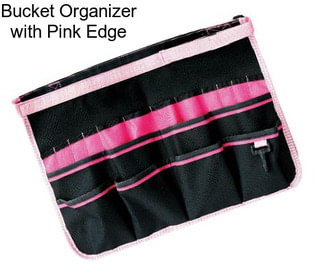 Bucket Organizer with Pink Edge