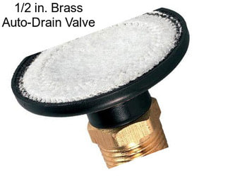 1/2 in. Brass Auto-Drain Valve