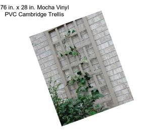 76 in. x 28 in. Mocha Vinyl PVC Cambridge Trellis