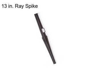 13 in. Ray Spike