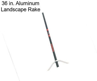 36 in. Aluminum Landscape Rake