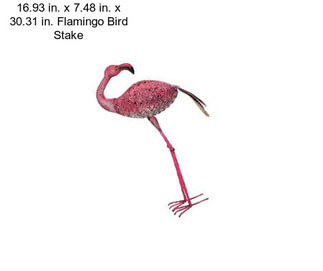 16.93 in. x 7.48 in. x 30.31 in. Flamingo Bird Stake
