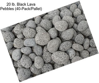 20 lb. Black Lava Pebbles (40-Pack/Pallet)