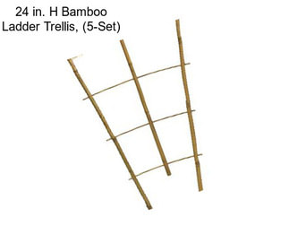 24 in. H Bamboo Ladder Trellis, (5-Set)