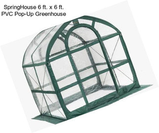 SpringHouse 6 ft. x 6 ft. PVC Pop-Up Greenhouse