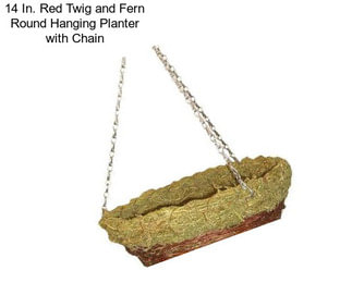 14 In. Red Twig and Fern Round Hanging Planter with Chain