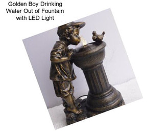 Golden Boy Drinking Water Out of Fountain with LED Light