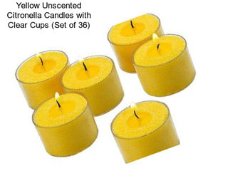 Yellow Unscented Citronella Candles with Clear Cups (Set of 36)