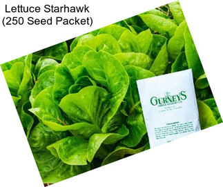 Lettuce Starhawk (250 Seed Packet)