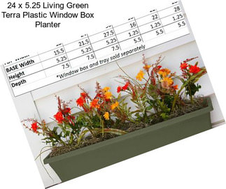 24 x 5.25 Living Green Terra Plastic Window Box Planter