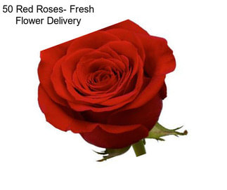 50 Red Roses- Fresh Flower Delivery