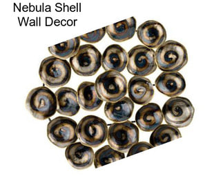 Nebula Shell Wall Decor