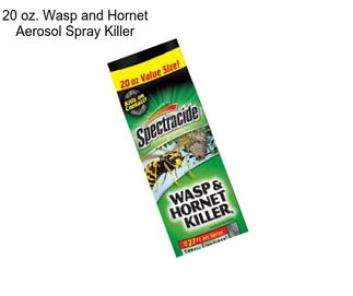 20 oz. Wasp and Hornet Aerosol Spray Killer