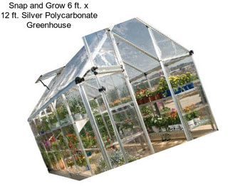 Snap and Grow 6 ft. x 12 ft. Silver Polycarbonate Greenhouse