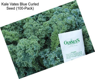 Kale Vates Blue Curled Seed (100-Pack)