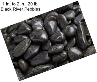 1 in. to 2 in., 20 lb. Black River Pebbles