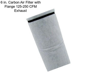 6 in. Carbon Air Filter with Flange 125-250 CFM Exhaust