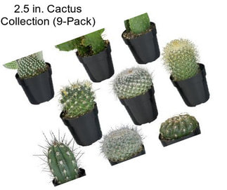 2.5 in. Cactus Collection (9-Pack)